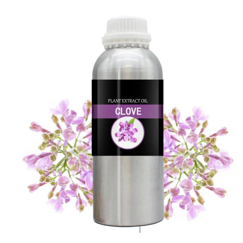 Clove Essential Oil Manufacturer - Wholesale High-quality Pure Natural Extracted From Plants