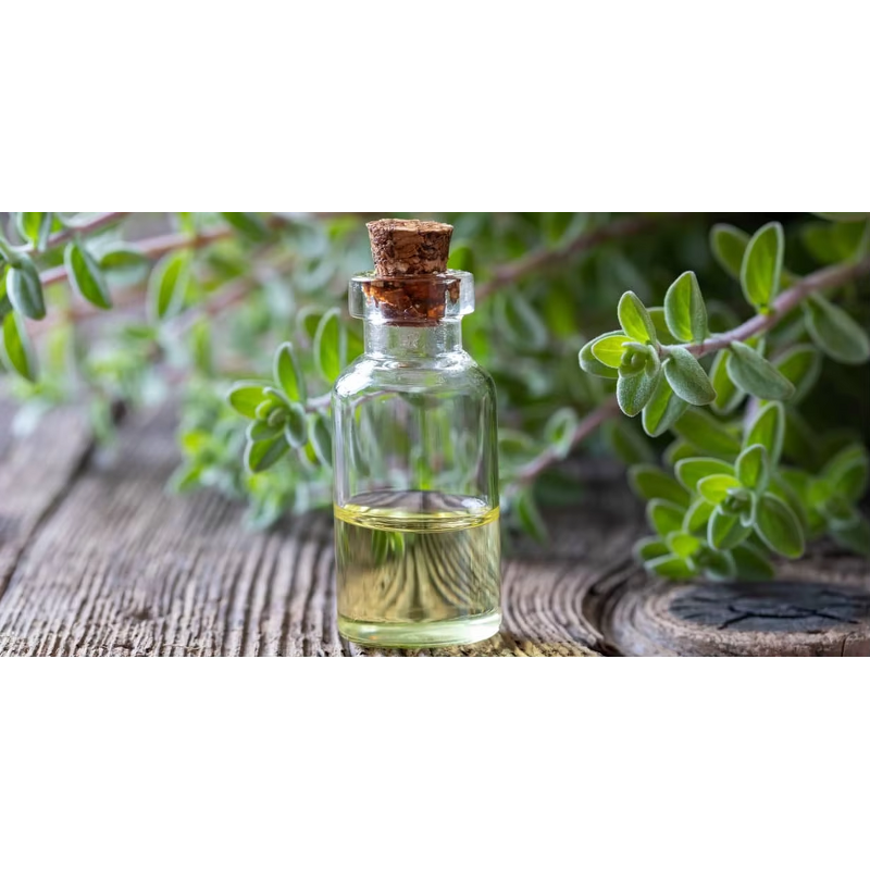 Marjoram Oil Manufacturer - Wholesale Bulk 100% Pure Essential Origanum Majorana Oil Best Price
