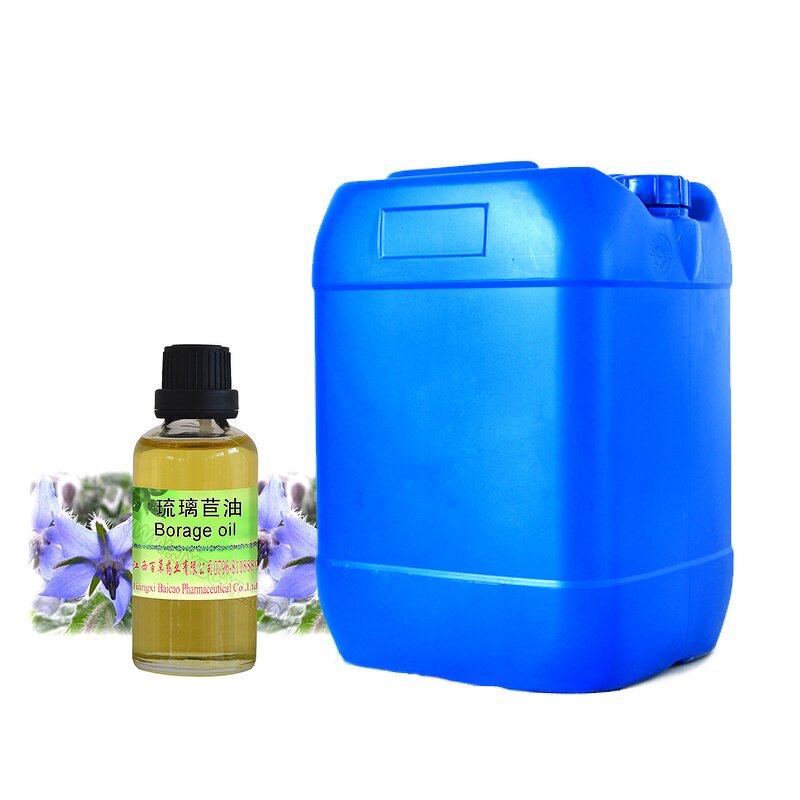 Borage Seed Essential Oil Supplier - High Demand High Quality Fresh Odor for Dry Skin Care Wholesale