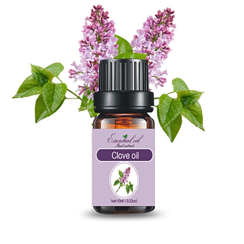 Clove Essential Oil Manufacturer - Wholesale High-quality Pure Natural Extracted From Plants