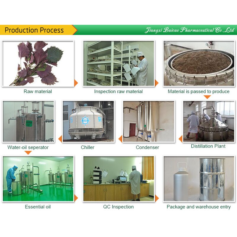 Perilla Leaf Essential Oil Manufacturer - Premium Therapeutic Grade 100% Pure Natural Steam-Distilled