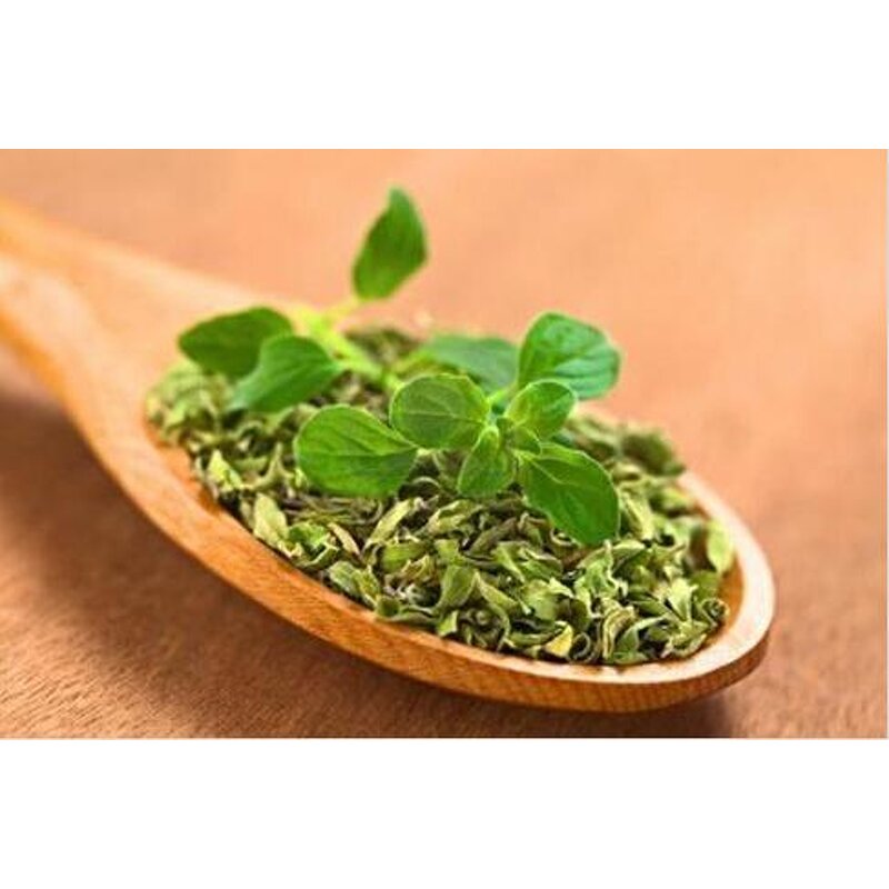 Oregano Essential Oil Factory - Bulk Discount Pure Steam Distillation for Massage Skin Care