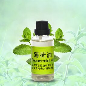 Peppermint Oil Supplier - Best Selling Bulk for Hair Diffuser Air Purifying Essential Fragrance