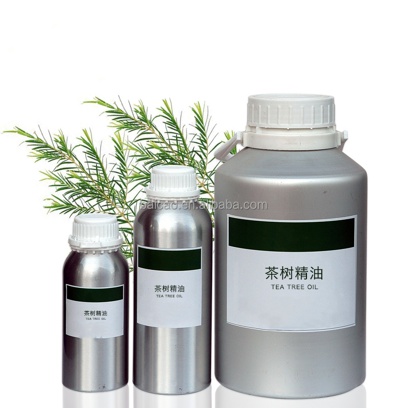 Tea Tree Essential Oil Manufacturer - Highly Content Steam Distilled Therapeutic Grade Plant Extract