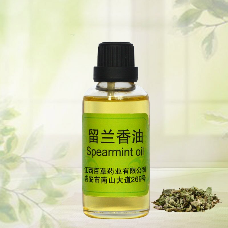 Spearmint Essential Oil Factory - Essential Oil Wholesale Premium Refreshing 100% Pure Natural
