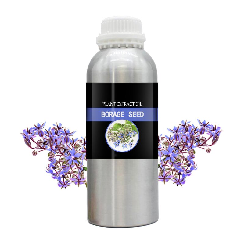 Borage Seed Essential Oil Supplier - High Demand High Quality Fresh Odor for Dry Skin Care Wholesale