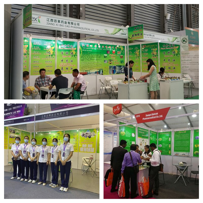 Grape Seed Oil Manufacturer - Bulk Price 100% Pure Natural Organic Cold Pressed for Body Skin