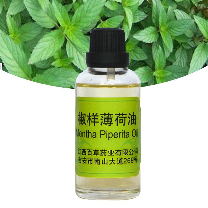 Peppermint Oil Supplier - Best Selling Bulk for Hair Diffuser Air Purifying Essential Fragrance