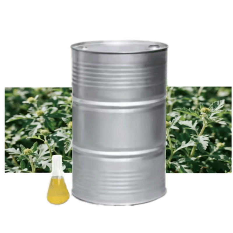 Davana Oil Supplier - Therapeutic Grade Pure Essential Herbal Extract Steam Distillation