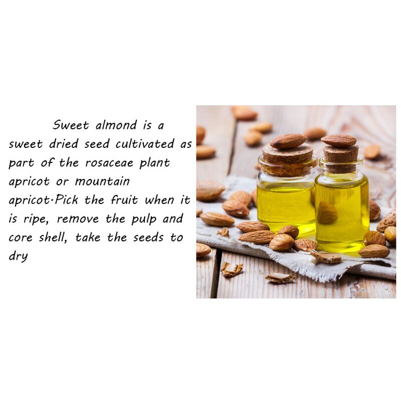 Sweet Almond Seed Oil Supplier - Therapeutic Grade Lightweight for Essential Oil Dilution Wholesale