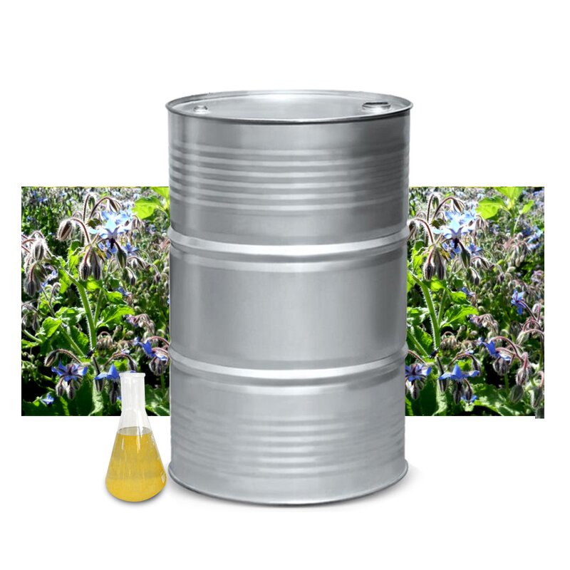 Borage Seed Oil Manufacturer - Natural Plant Extract Vegan-Friendly for Hair Skin Treatments