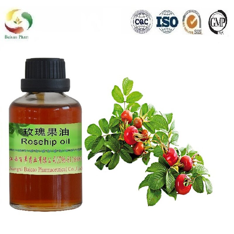 Rosehip Oil Factory - Essential Oil Manufacture Support 100% Pure Natural for Skin Care High Demand