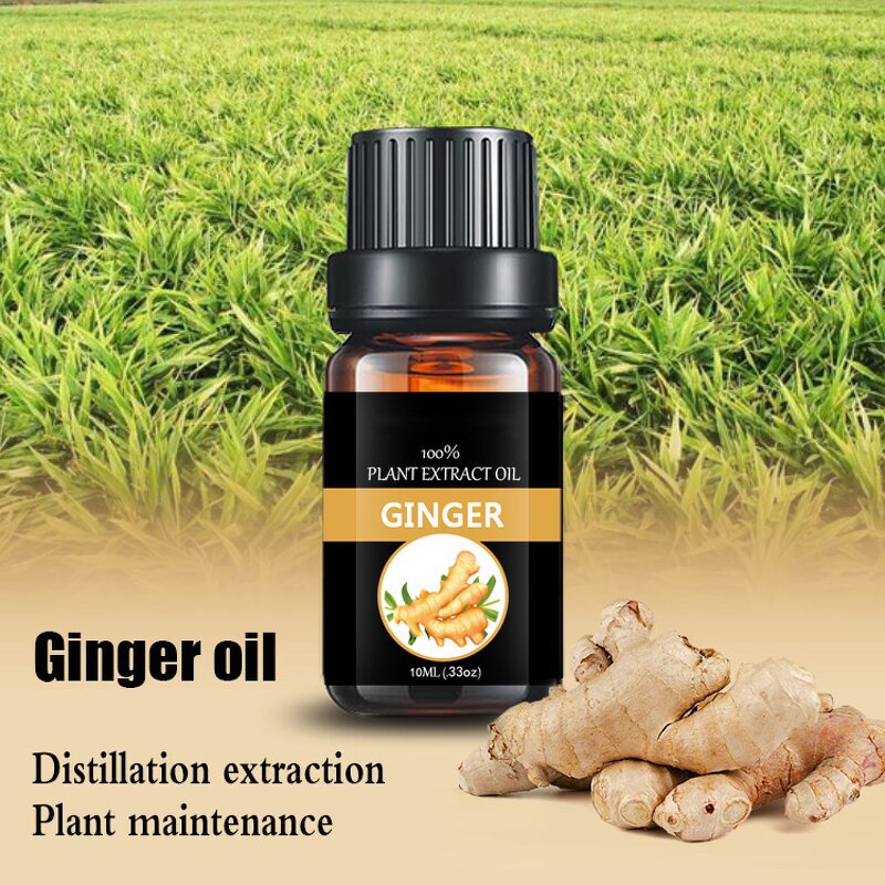 Ginger Essential Oil Supplier - 100% Pure Organic Natural Steam Distilled Bulk Wholesale Price