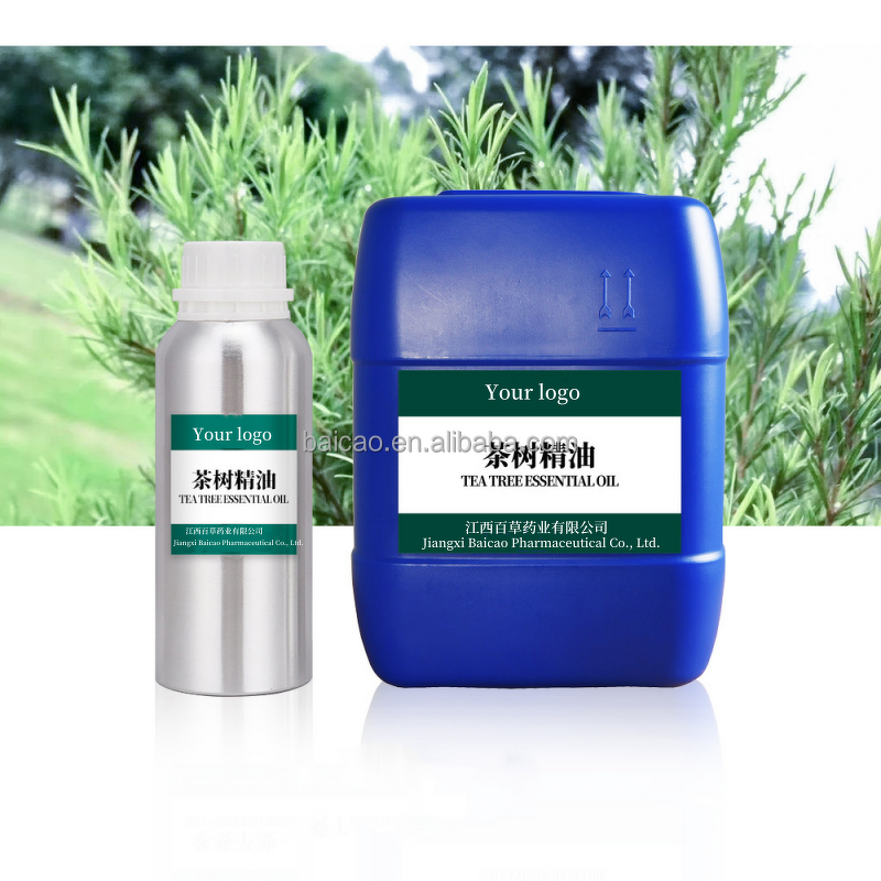 Tea Tree Oil Factory - High Concentration Premium for Cosmetics Steam Distillation Wholesale