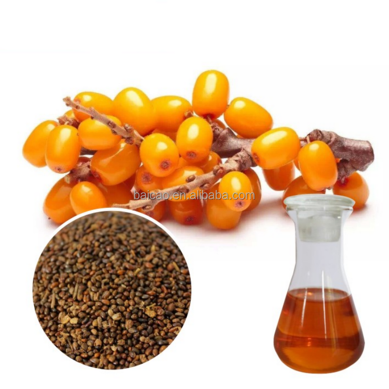 Seabuckthorn Seed Oil Manufacturer - Topical Therapeutic Grade High Quality for Skin Use