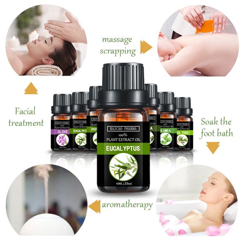 Eucalyptus Oil Factory - High Quality for Aromatherapy Perfume Shampoo Cologne Air Freshener