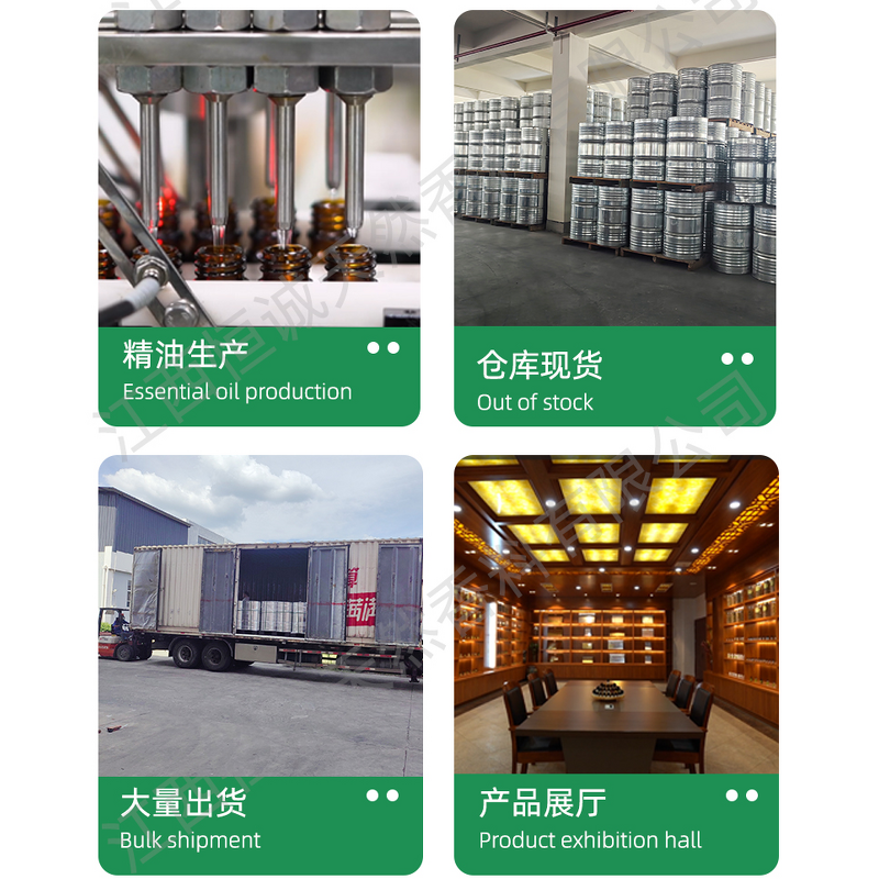 Aromatic Perfume Set Supplier - Natural Sweet Orange Eucalyptus Tea Tree Camellia Bulk Fragrant