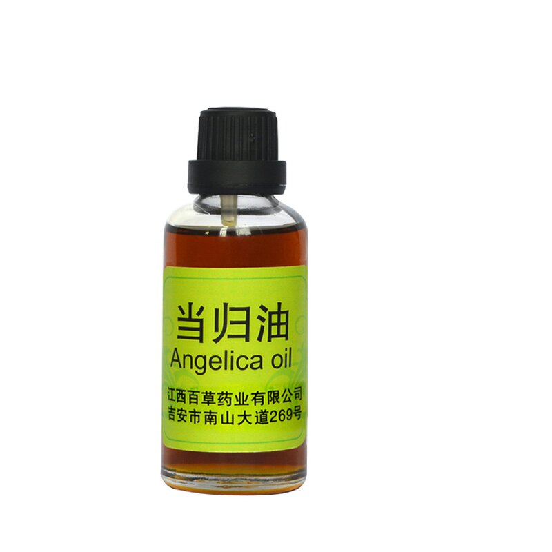 Angelica Root Oil Supplier - 100% Pure Nature Steam-Distilled Undiluted Essential Oil Manufacture