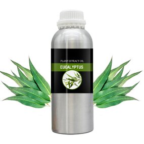 Eucalyptus Pure Essential Oil Manufacturer - Wholesale Bulk Skin Revitalizer for Cosmetic Aromatherapy