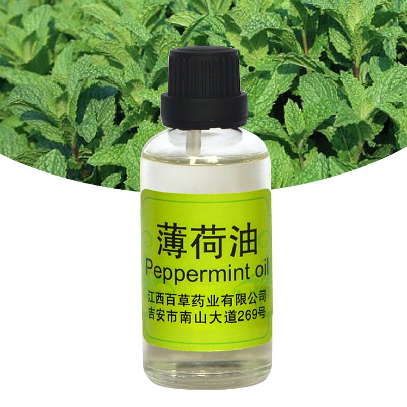 Peppermint Oil Factory - Bulk Price Cosmetic Grade Pure Nature Steam Distillation for Sale