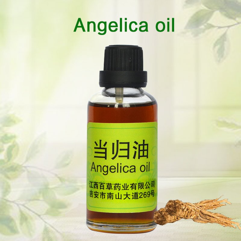 Angelica Root Oil Supplier - 100% Pure Nature Steam-Distilled Undiluted Essential Oil Manufacture