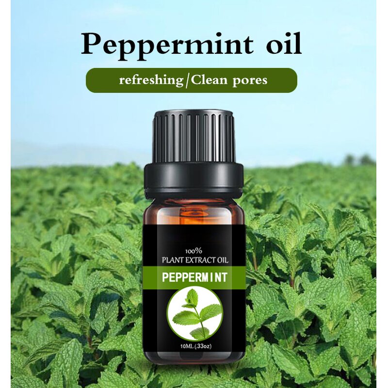 Peppermint Essential Oil Factory - Bulk 100% Pure Natural for Soap Candle Making Aromatherapy