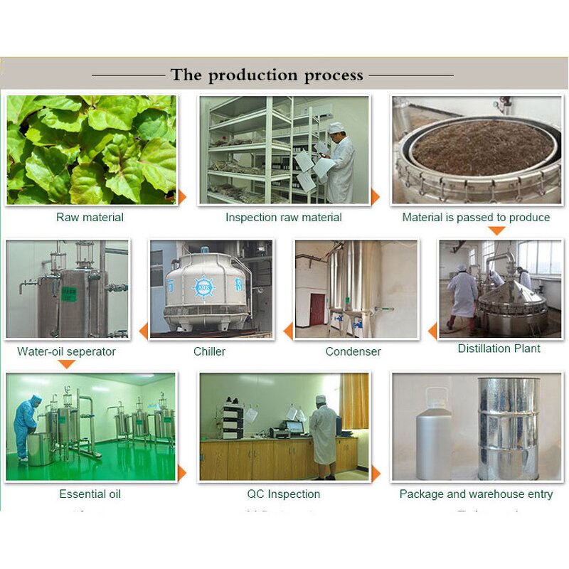 Patchouli Essential Oil Supplier - Earthy Alcohol-Free for Soap Making Massage Blends Natural