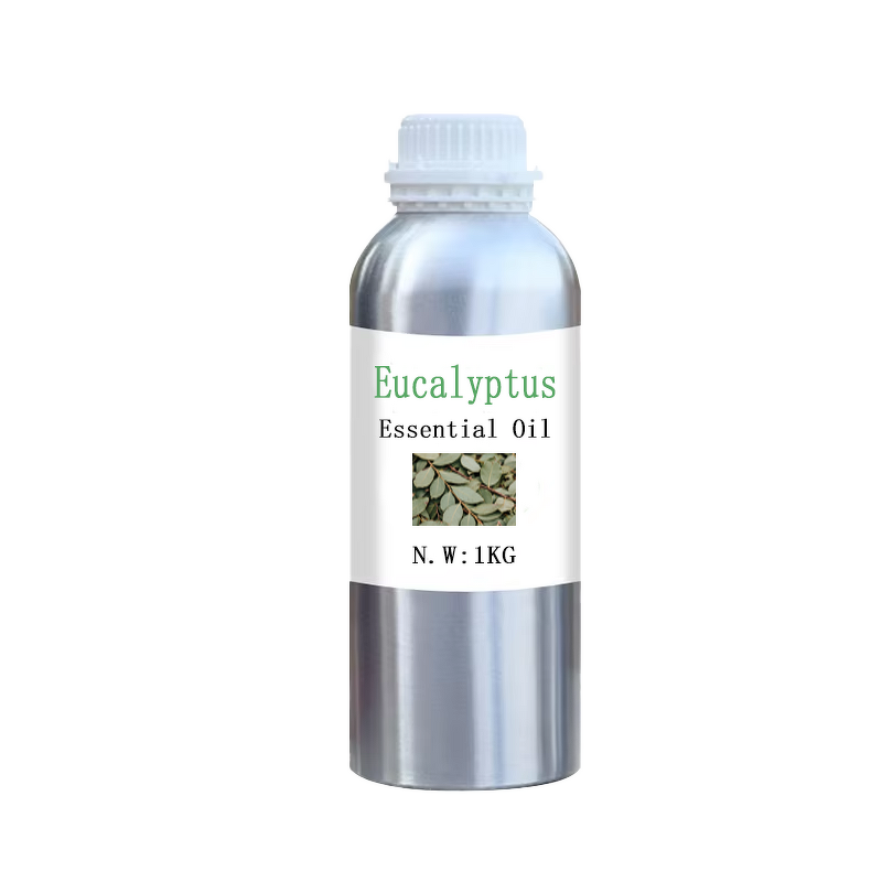 Eucalyptus Pure Essential Oil Manufacturer - Wholesale Bulk Skin Revitalizer for Cosmetic Aromatherapy