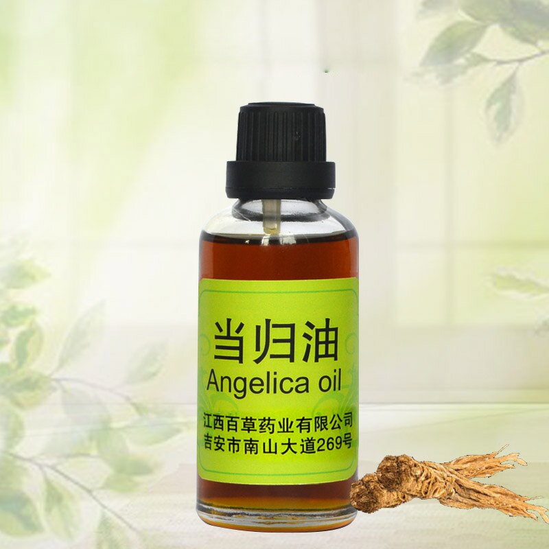 Angelica Root Essential Oil Factory - Wholesale Bulk 100% Pure Nature-Inspired Essential Oil