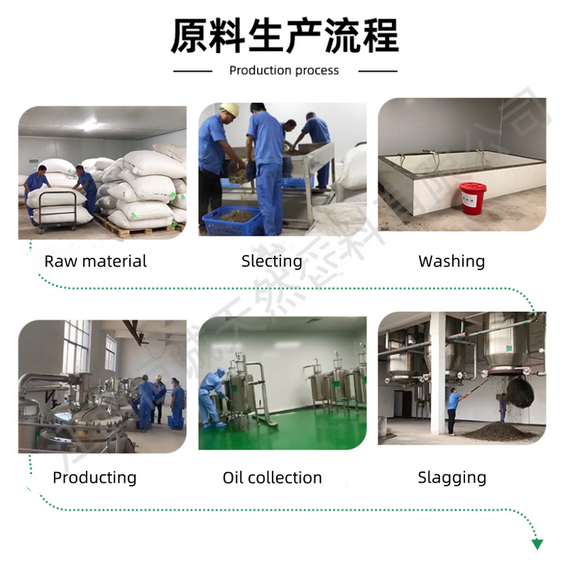 Hemp Seed Oil Manufacturer - Pure Natural Carrier Oil Cold Pressed for Body Massage Omega-3