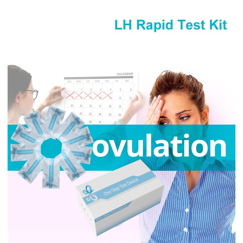 Ovulation Test Cassette Factory - Rapid Detection Test Strips