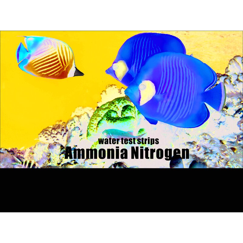Ammonia pH Test Kit Manufacturer - Fish Pool Water Quality