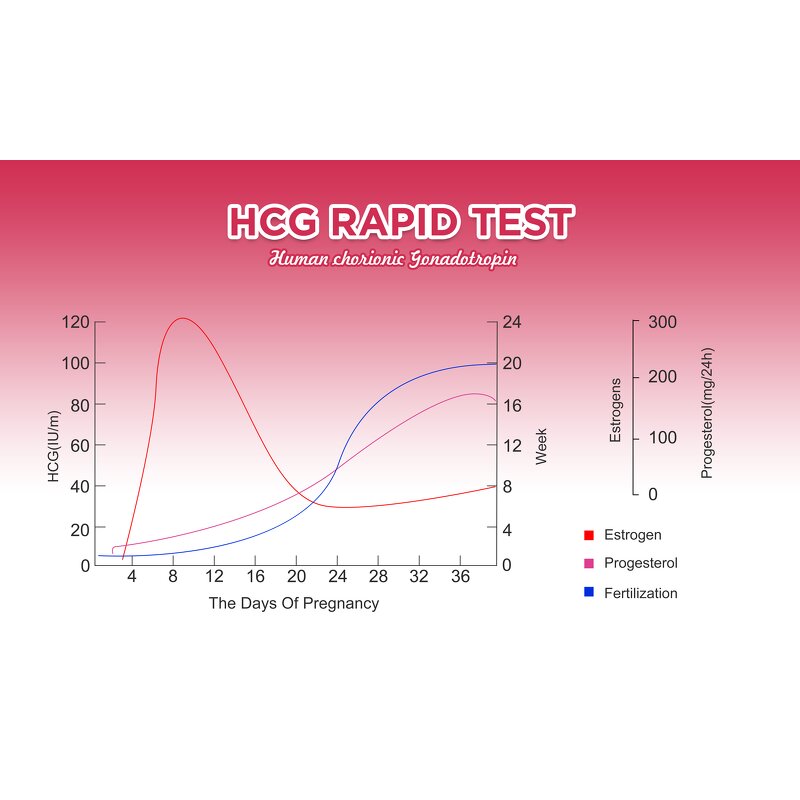 Pregnancy Test Kit Supplier - One-Step HCG Urine Kit for Women