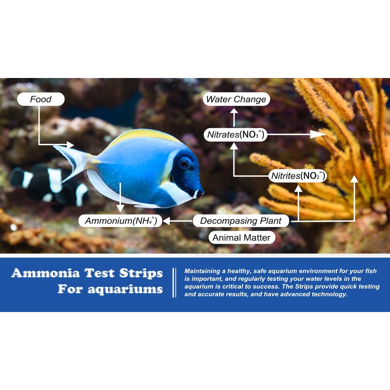 Ammonia Test Kit Factory - Fish Pond Water Quality Strip Kit