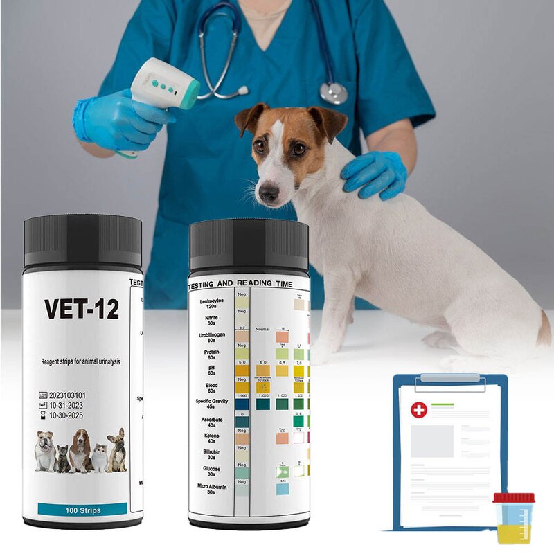 Pet Urine Test Strips Factory - 12 Parameter Cat Dog at Home