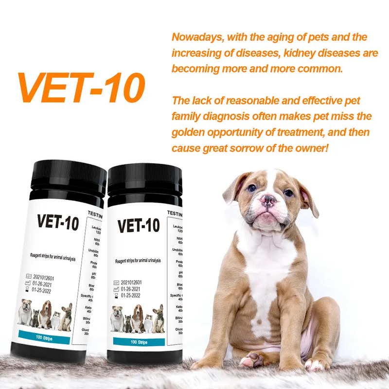 Cat Dog Urine Test Strips Factory - 10 Parameter 100ct Diabetes