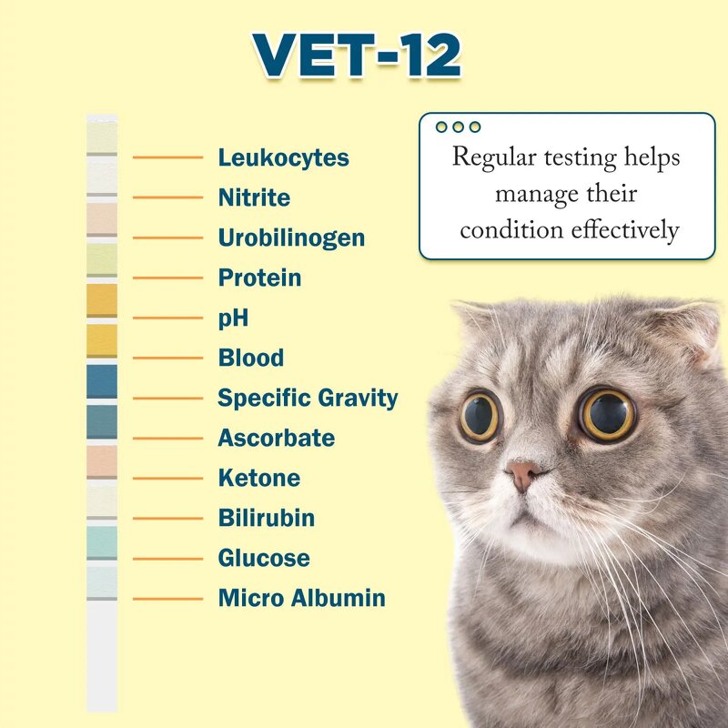 Pet Urine Test Strips Factory - 12 Parameter Cat Dog at Home