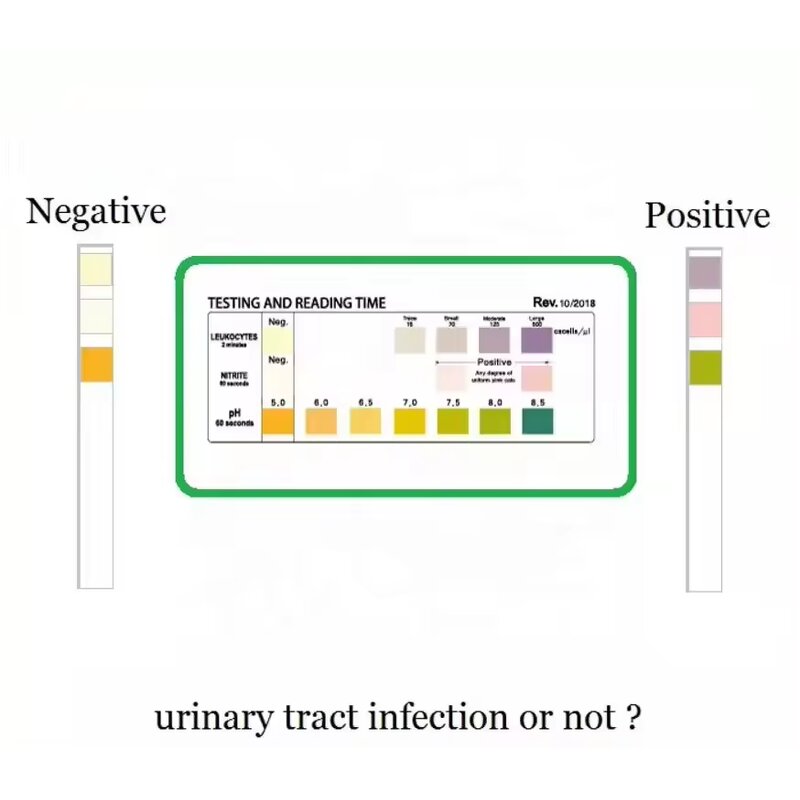 UTI Test Strips Supplier - 3 Parameter Nitrite Leukocytes pH