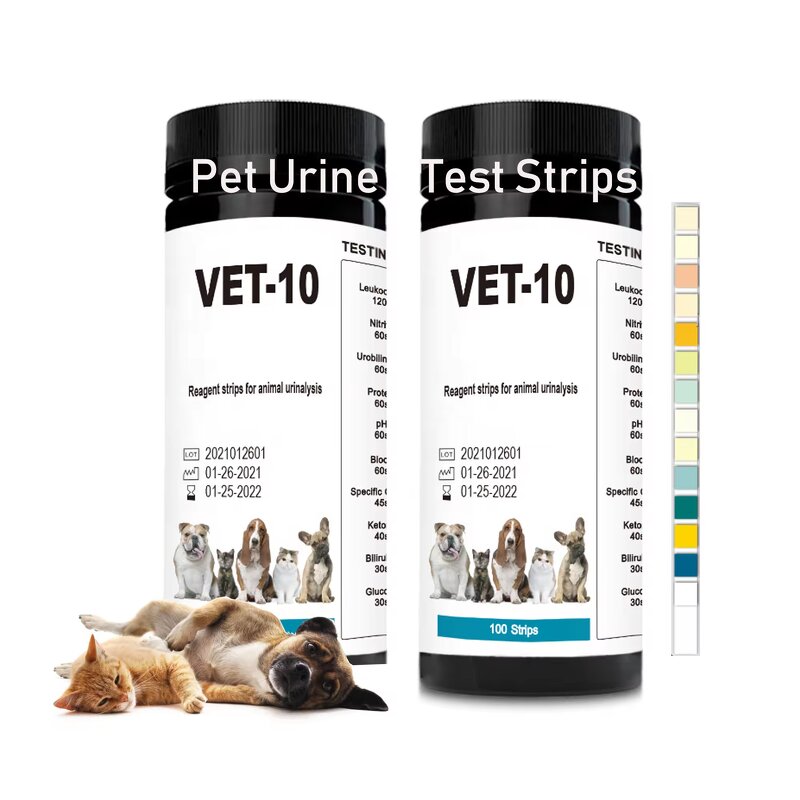 PET Urine Test Strips Manufacturer - 10 Parameter Diabetes Ketone