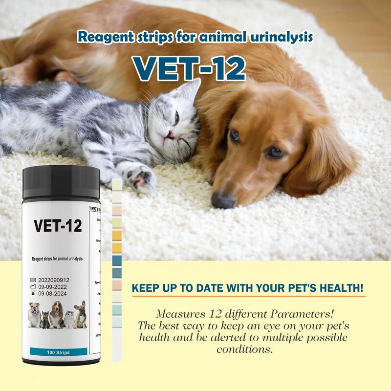 Pet Urine Test Strips Factory - 12 Parameter Cat Dog at Home
