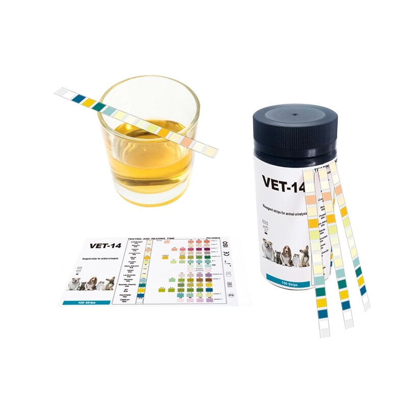 Pet Urine Test Strips Manufacturer - Vet-14 14-in-1 Diagnosis