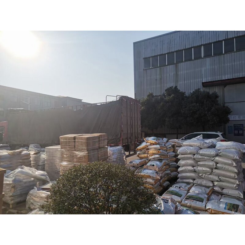 Dry Pet Dog Food Supplier - OEM ODM Chinese Grain-Free Various Shapes Bulk MOQ 10kg