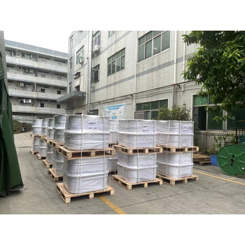 Solar PV Cable Manufacturer - 2PFG 1169 PV1-F 2.5/4/6/10mm2 with XLPE PE XLPO Insulation