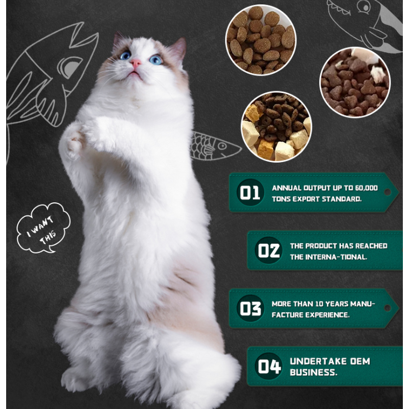 Dry Cat Food Supplier - High Quality OEM Organic Hot Sale Star Shaped Fish Flavored