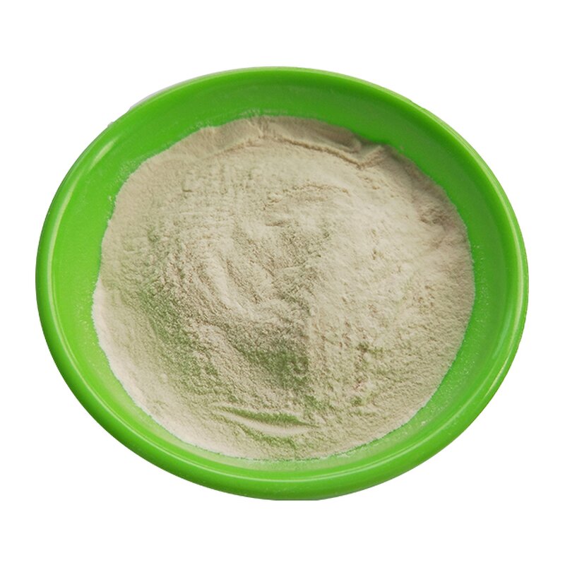 Xanthan Gum Manufacturer - 200 Mesh Powder for Oil Drilling
