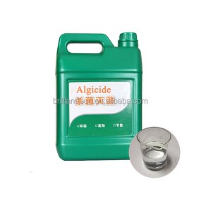 Algaecide 60 Supplier - 5L Package for Swimming Pool Water