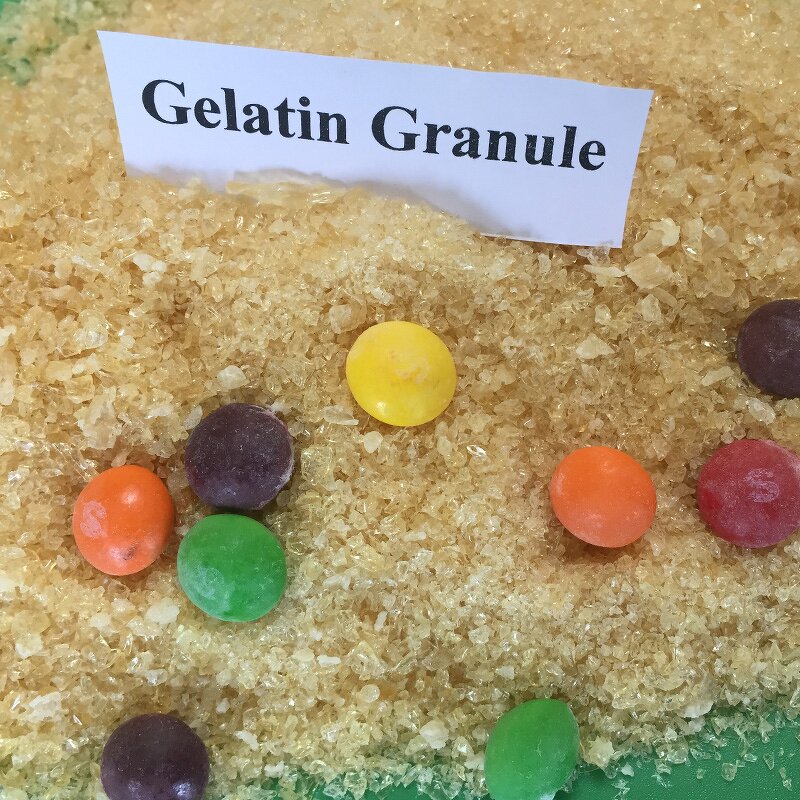 Beef Gelatin Powder Factory - Halal Food Grade 60 Mesh