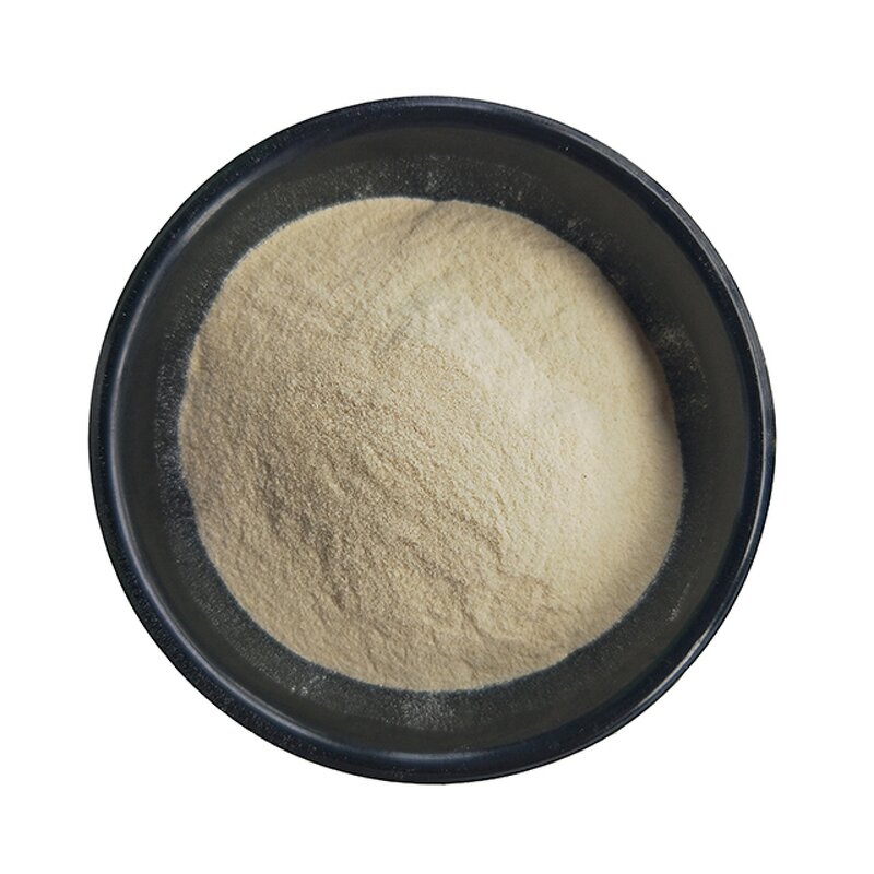 Xanthan Gum Manufacturer - 200 Mesh Powder for Oil Drilling