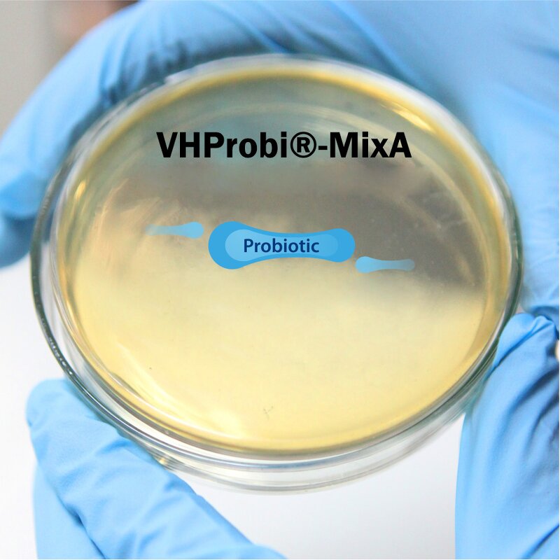Lactobacillus Ferment Lysate Supplier - VHProbi Mix A Microbial