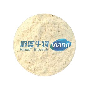 Aminopeptidase Enzyme Supplier - Food Grade for Flavor Enhancer